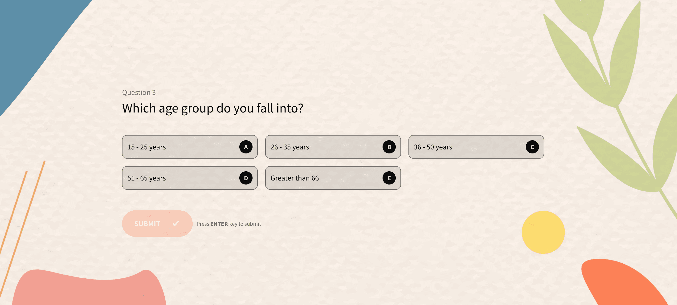 Ratio Scale: Definition, Characteristics & Examples