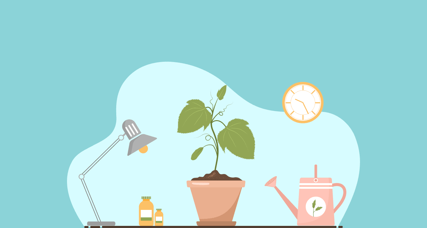 11 Best Tools for Small Businesses