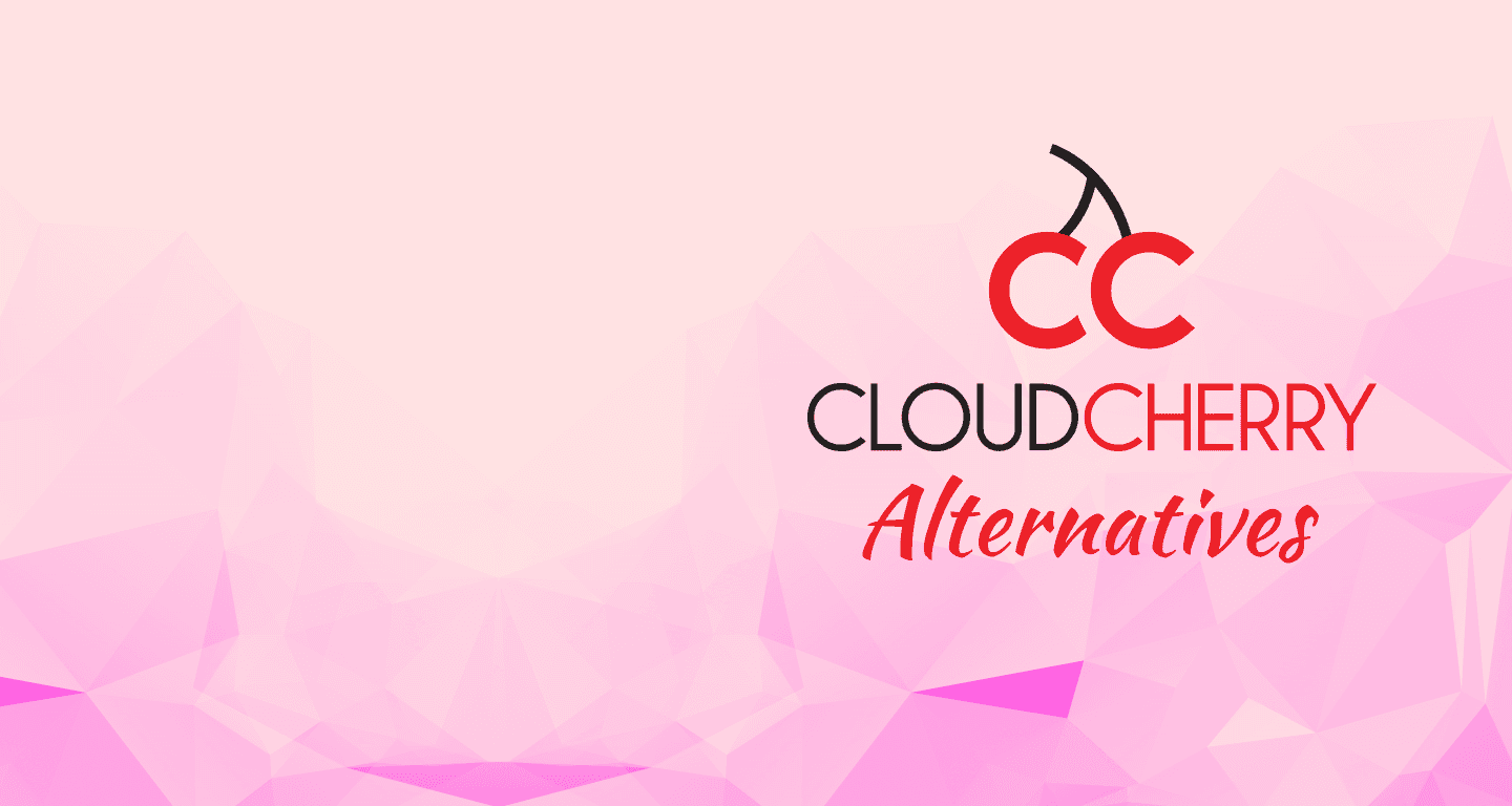 Top 10 CloudCherry Alternatives To Switch To In 2024