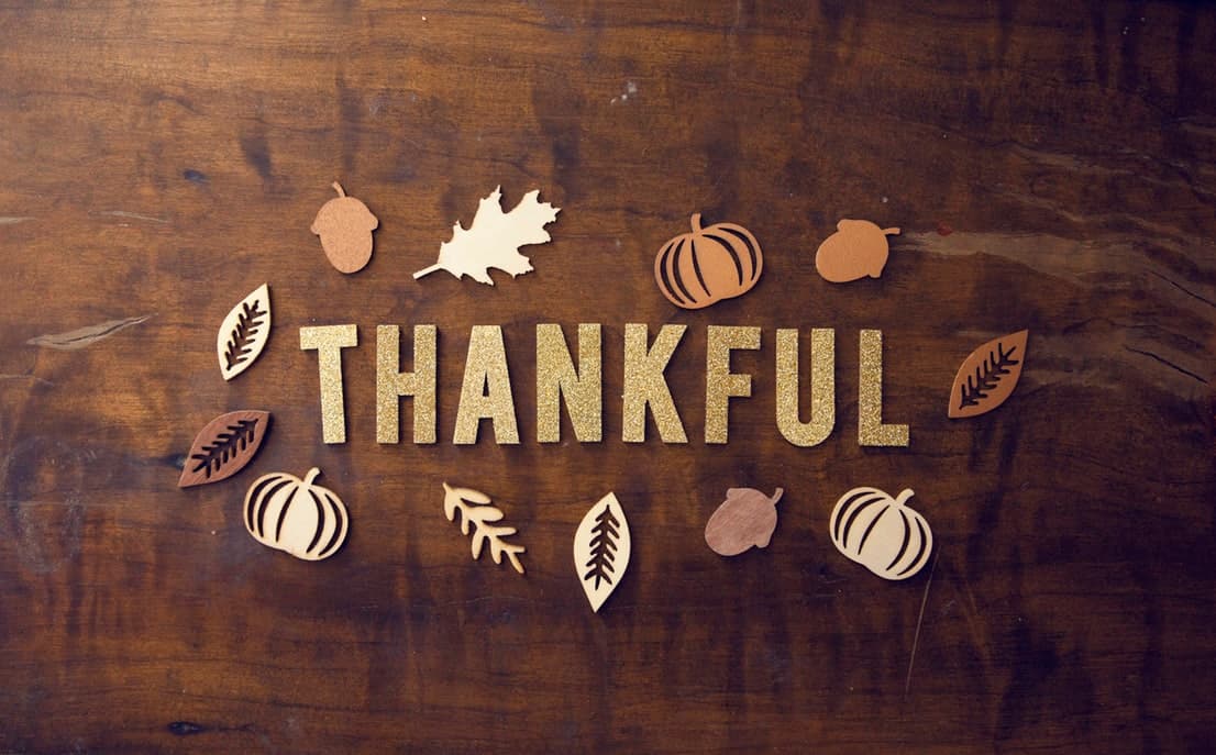 November brings in newest additions that we're thankful for! November brings in newest additions that we're thankful for!